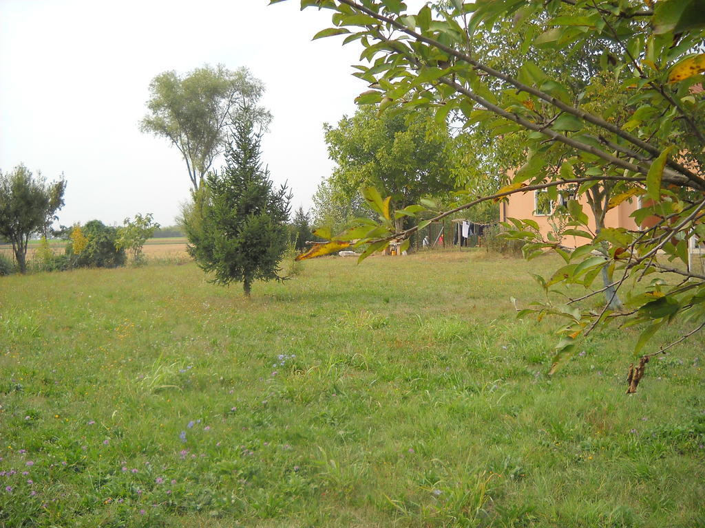 رونكاد Agriturismo Campi Di Grano المظهر الخارجي الصورة